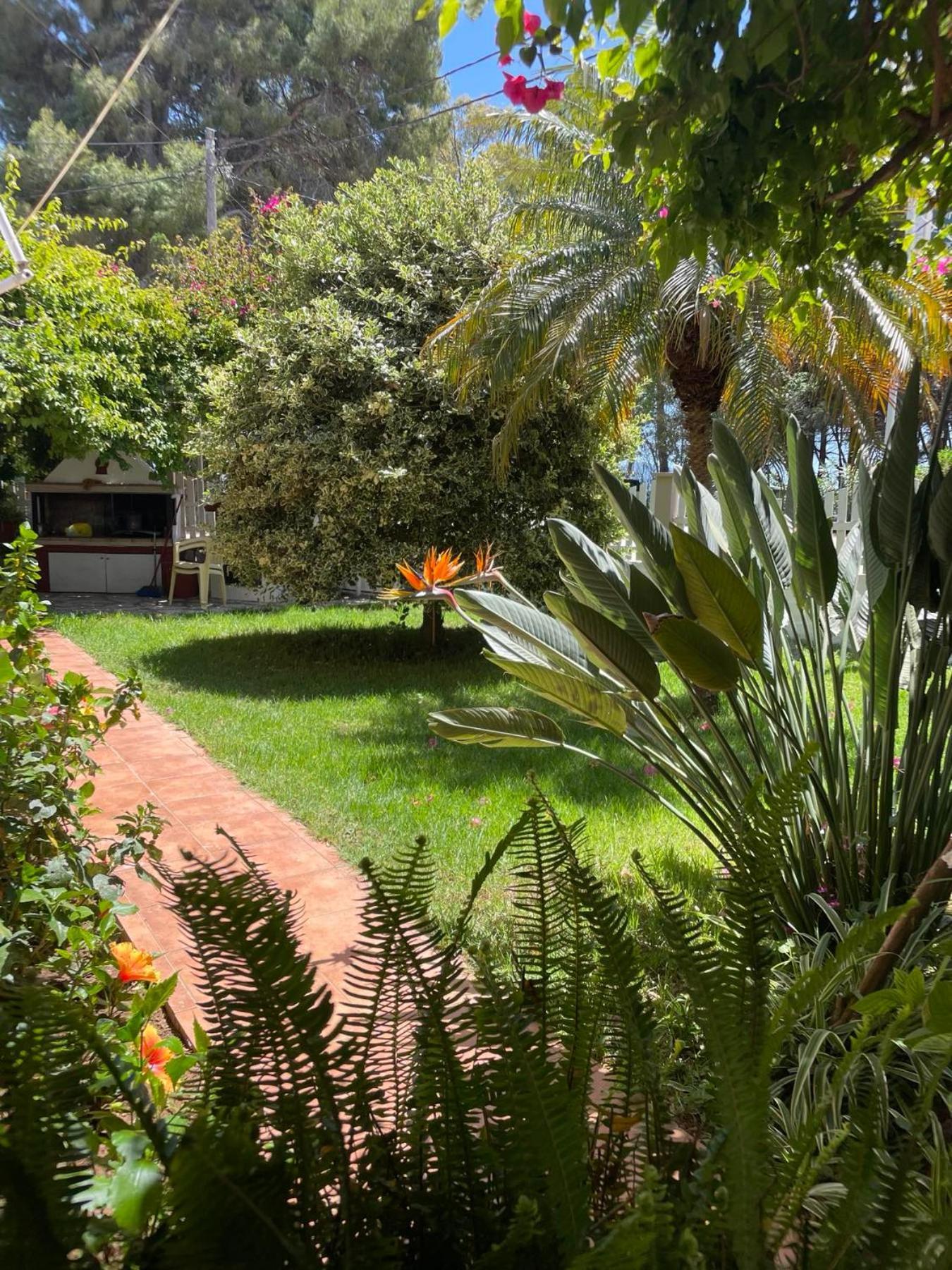 Buganvillas Studios Preveze Dış mekan fotoğraf